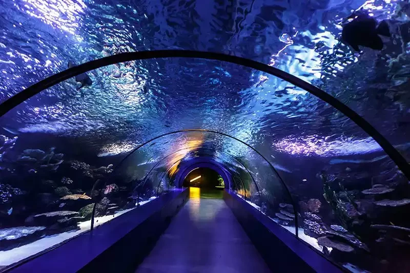 Antalya Aquarium: Tickets, Thematic Zones & Tips 2026