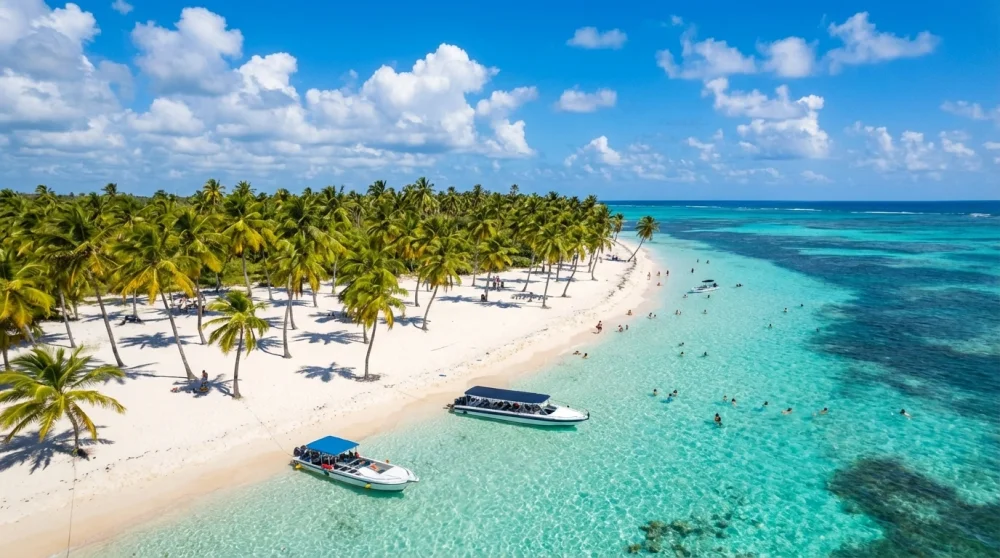 Best Time to Visit Dominican Republic: Weather, Crowds & Seaweed Guide