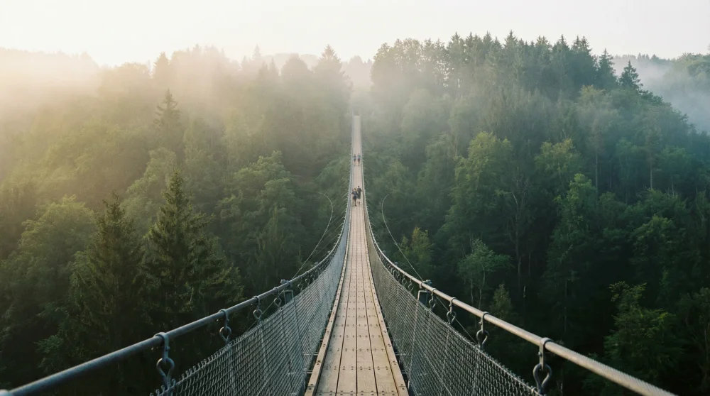 Geierlay Suspension Bridge: Parking, Hike Paths & Visitor Tips