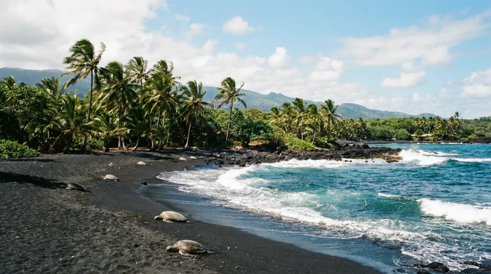 Punaluʻu Black Sand Beach: Everything You Need to Know