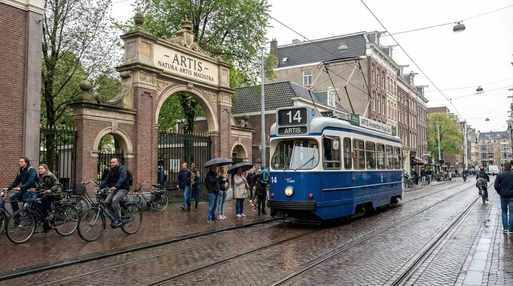 Amsterdam public Tram line 14 arriving directly at the ARTIS Zoo entrance stop