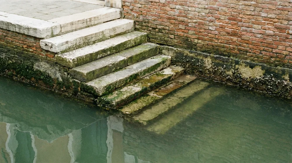 Close-up of ancient Venetian stone steps submerged in green canal water showing subsidence marks