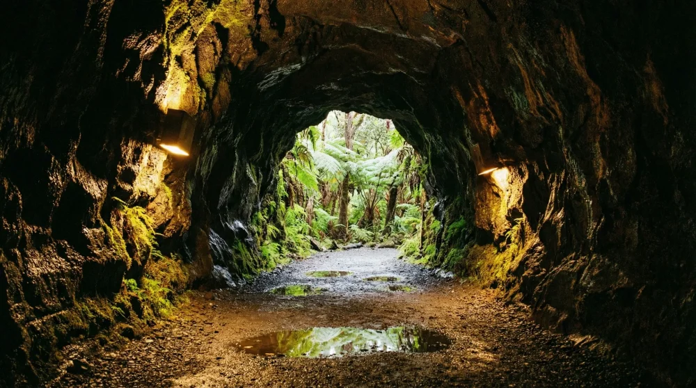 Inside view of the prehistoric Thurston Lava Tube surrounded by tropical ferns in Hawaii