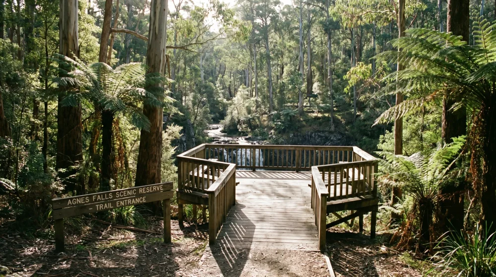 A well-maintained wooden viewing platform overlooking the Agnes Falls gorge and river