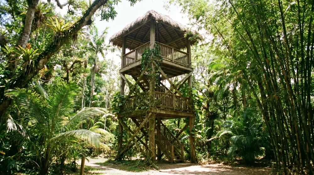 Dreistöckiger Holzaussichtsturm umgeben von Palmen und tropischer Vegetation im Botanischen Garten Grand Cayman
