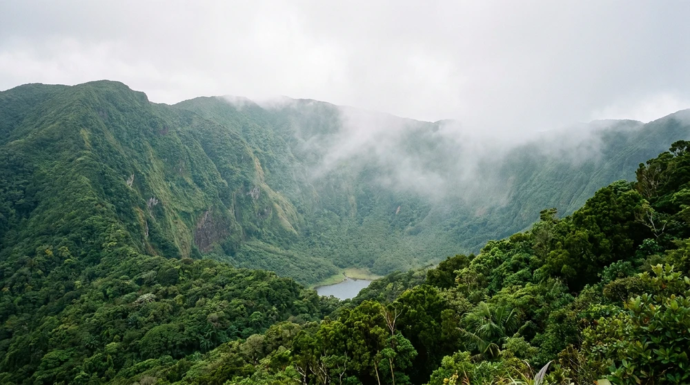 Blick vom Kraterrand hinab in den bewachsenen Vulkankessel des Mount Liamuiga