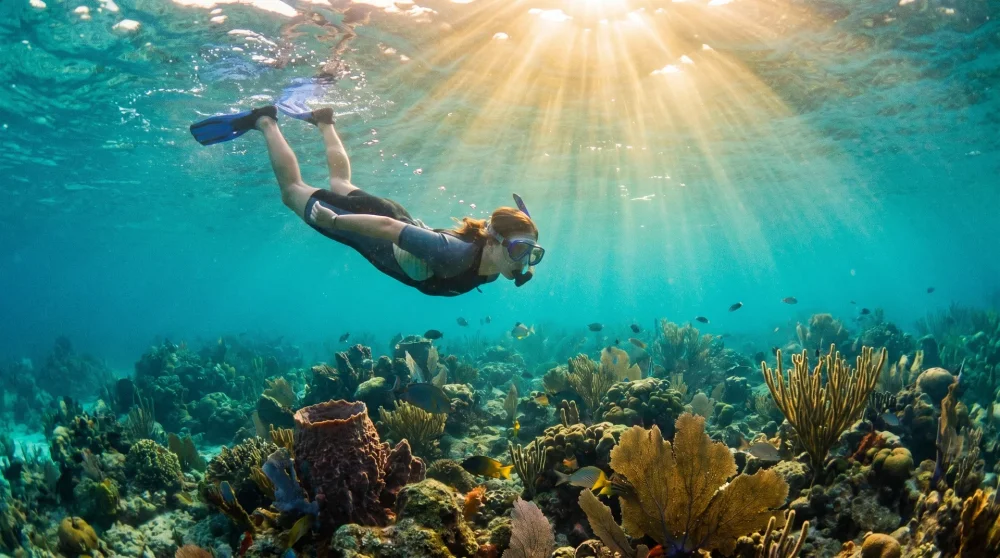 Snorkeler exploring a vibrant coral reef in Jamaica's crystal-clear turquoise Caribbean waters