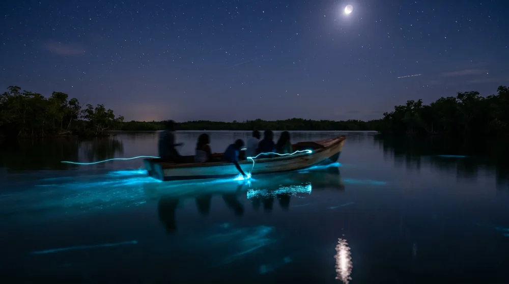 Bioluminescent blue-green glow in the Luminous Lagoon at Falmouth Jamaica at night