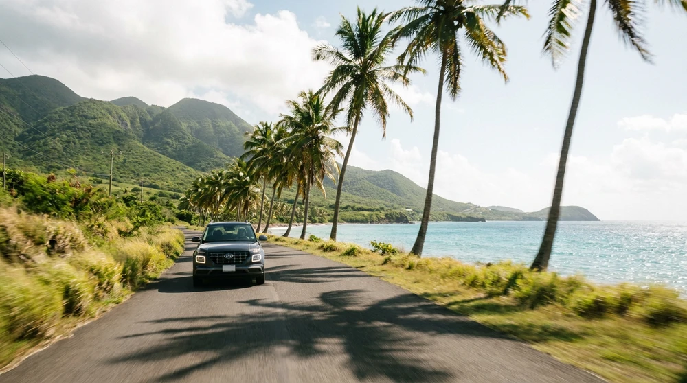 Rental car driving a coconut palm lined coastal road in St Kitts