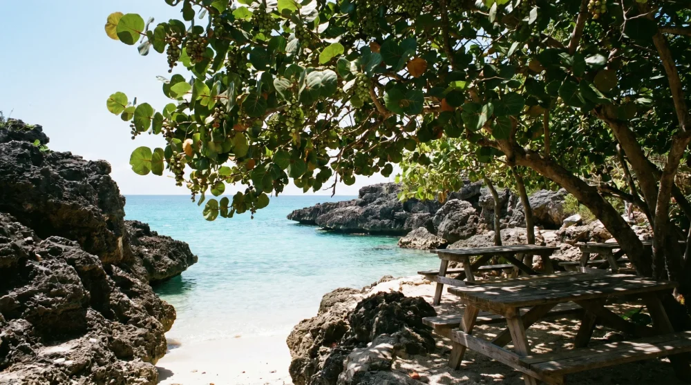 Ironshore-Kalksteinformationen und türkisfarbenes Wasser an Smith's Cove auf Grand Cayman