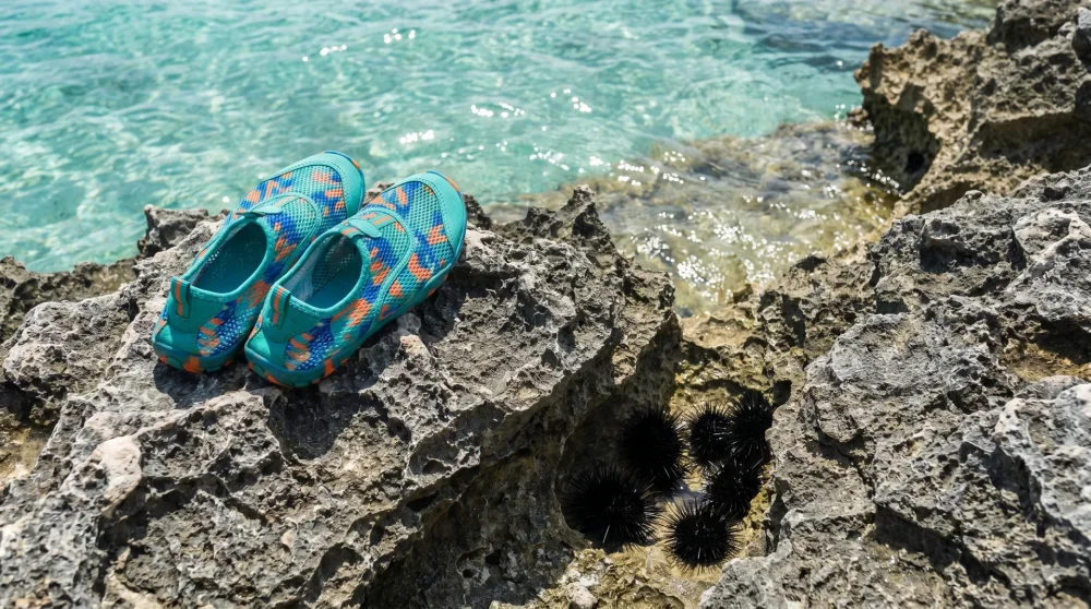 Smith's Cove Grand Cayman: Schnorcheln, Seeigel und kostenloser Strand