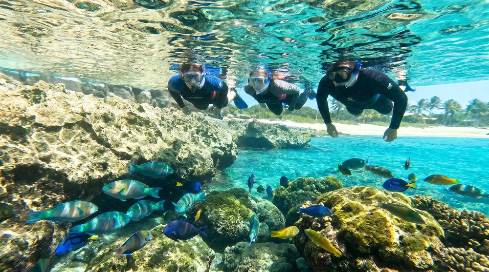 Snorkelers floating above a shallow rocky shoreline in clear turquoise water on a sunny day