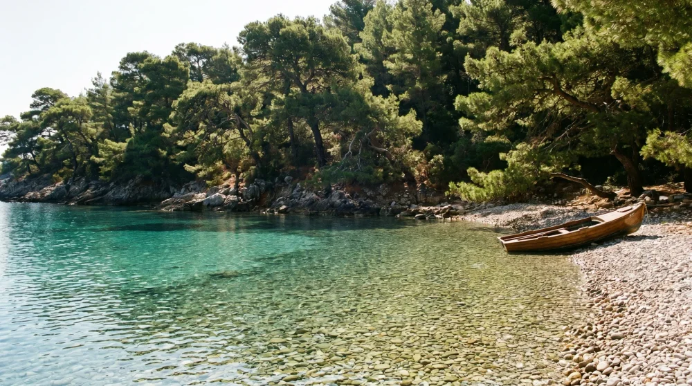 Geschützte Bucht mit Pinien und ruhigem klarem Wasser auf einer griechischen Insel