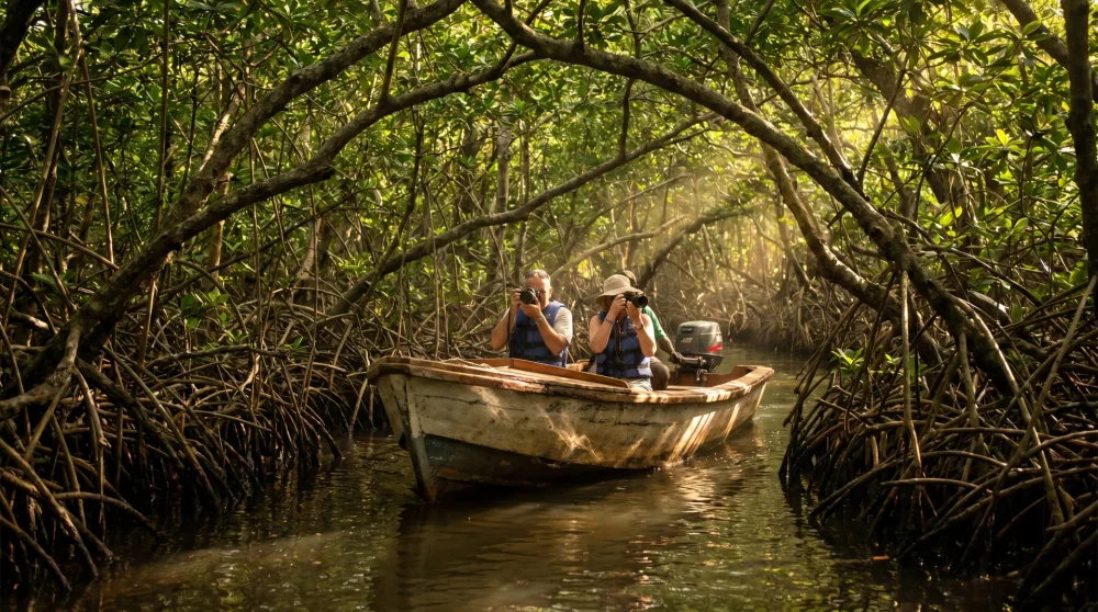 Kleines Boot navigiert durch Mangrovenwälder auf der Black River Safari bei Treasure Beach Jamaika