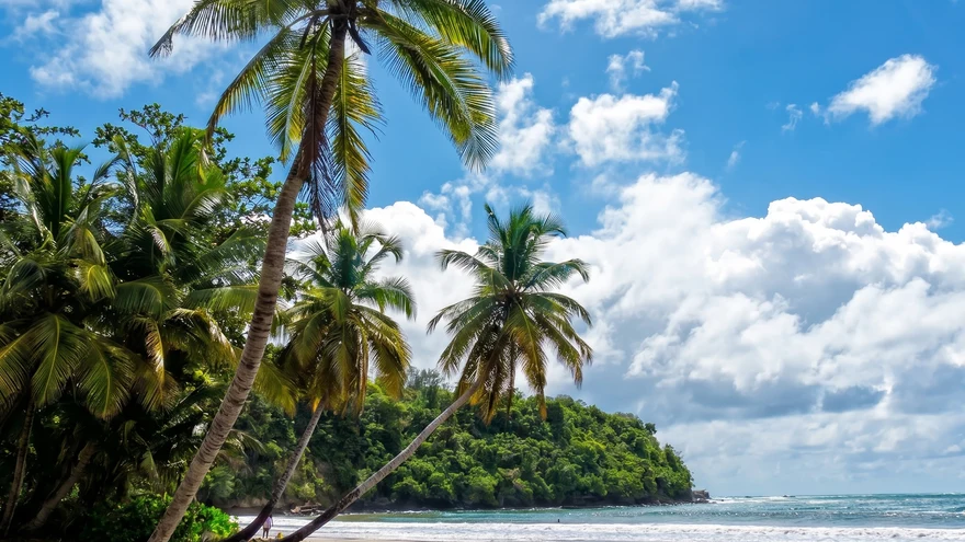 La Sagesse Beach Grenada secluded cove with turquoise water golden sand and lush coastal vegetation