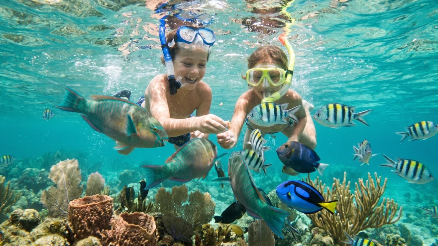 Children snorkeling over shallow coral reef in Grenada