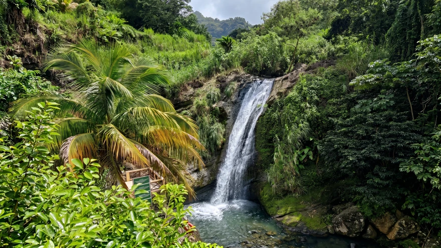 Concord Falls Grenada with waterfall cascading into a turquoise pool surrounded by lush tropical rainforest and palm trees