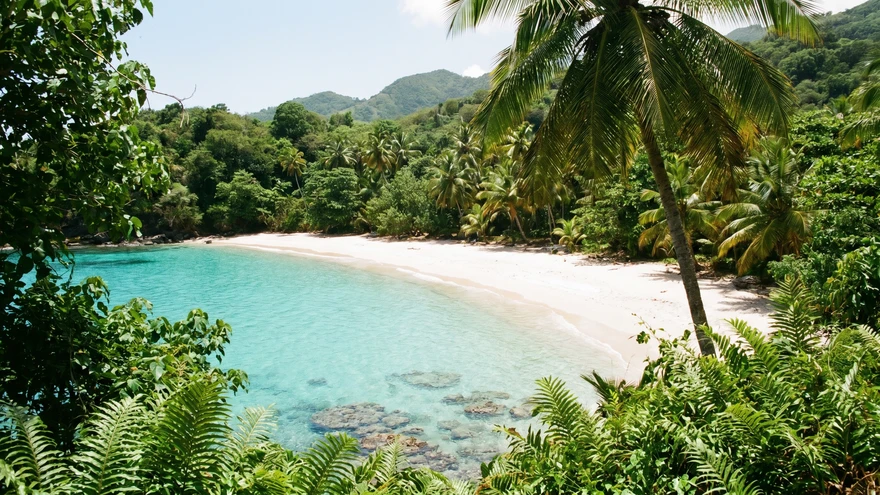 Secluded white sand beach with turquoise water in Grenada