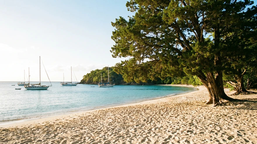 Princess Margaret Beach Bequia with cedar shade trees and sailboats in turquoise water