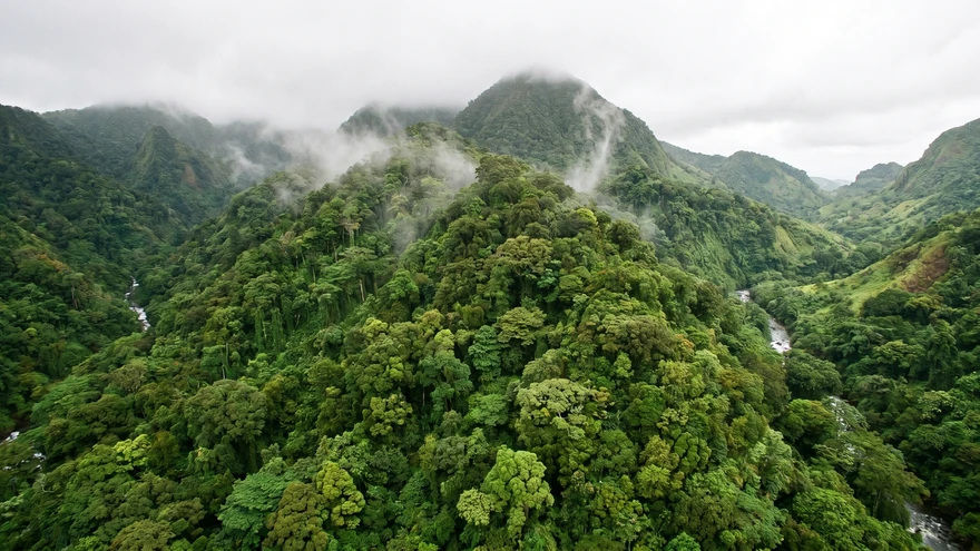 Primary rainforest covering the volcanic mountain slopes of St. Vincent