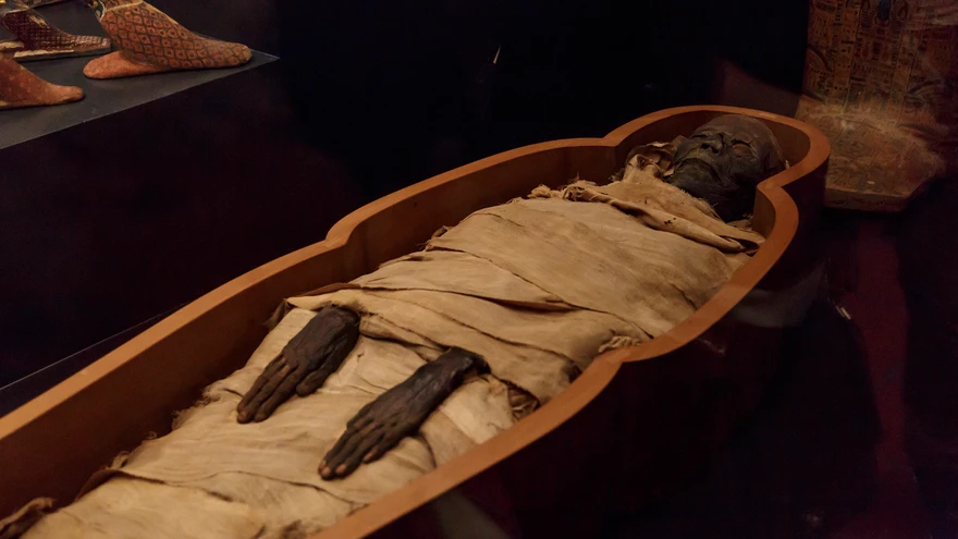 An ancient Egyptian mummy displayed in a carved wooden coffin at the Vatican's Egyptian Museum, with hieroglyphic artifacts visible in the background