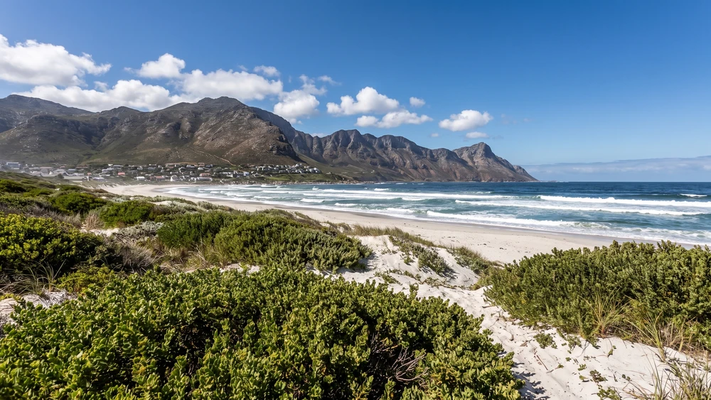 Betty's Bay to Kleinmond Beaches: Where to Swim, Surf, and Relax