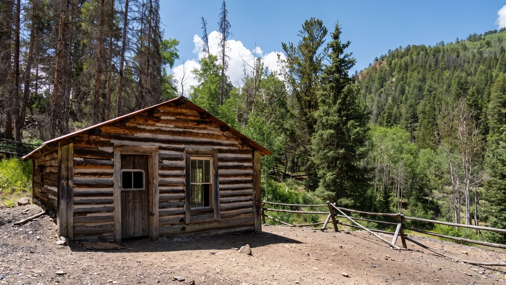 Restored log cabin with a red metal roof standing among pine trees in the Bonanza, Colorado ghost town.