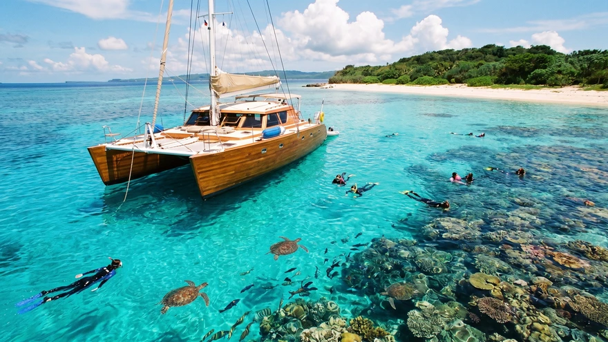 Catamaran anchored near a coral reef with snorkelers swimming alongside sea turtles
