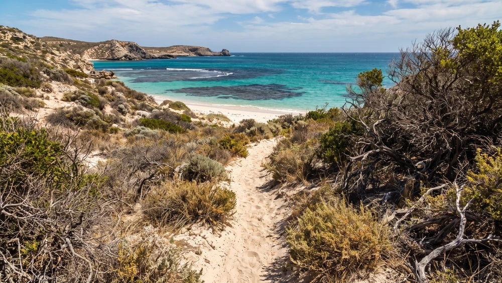 Sandy hiking trail leading to the secluded Carlos Rosario beach and reef in Culebra