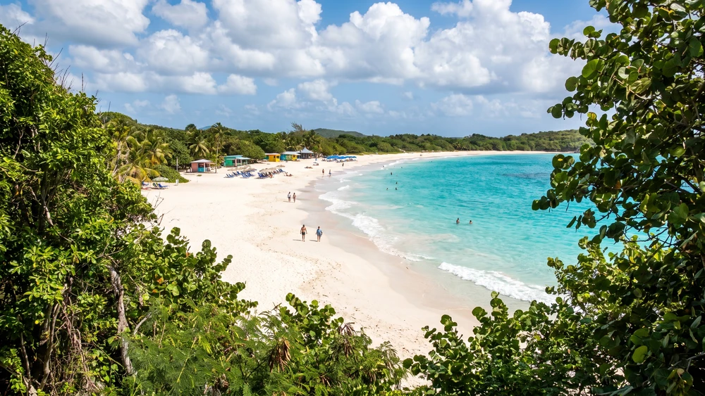 Flamenco Beach in Culebra seen from the tree line with beach kiosks visible in the late morning