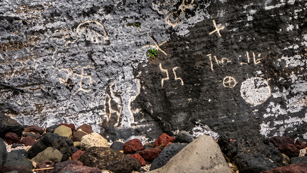 Ancient Polynesian petroglyphs carved into volcanic rock at Down Rope Beach on Pitcairn Island