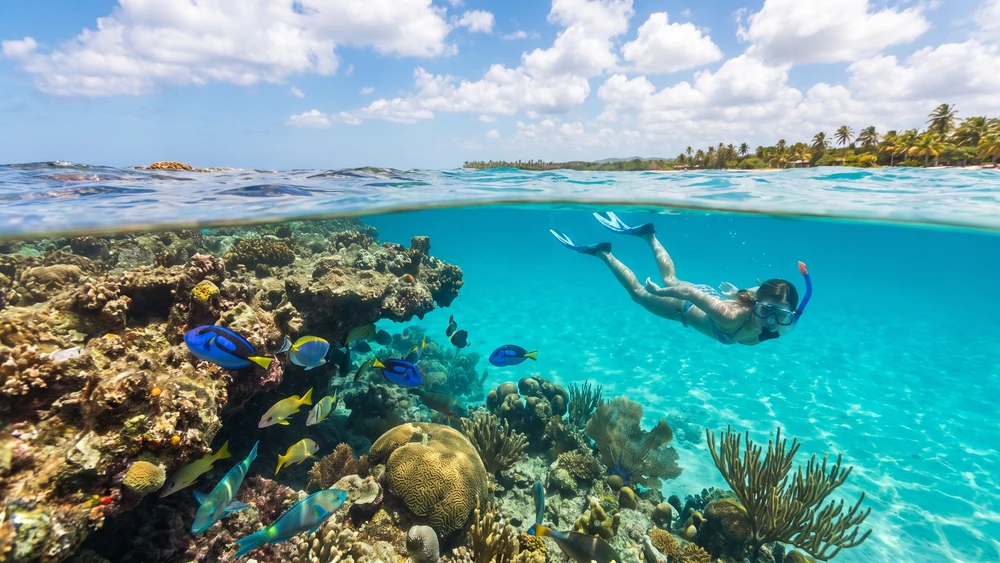 Snorkeler near the rocky reef edge on the eastern side of Flamenco Beach with colorful reef fish