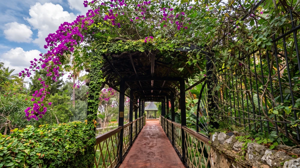 Gibraltar Botanic Gardens: What to See & Visitor Tips