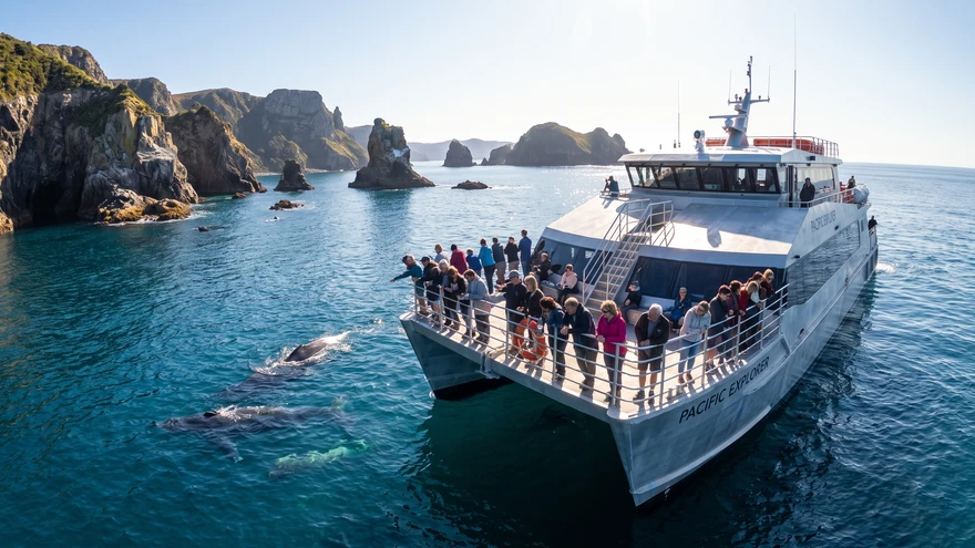 Twin-hulled catamaran with elevated open deck cruising near the coastline