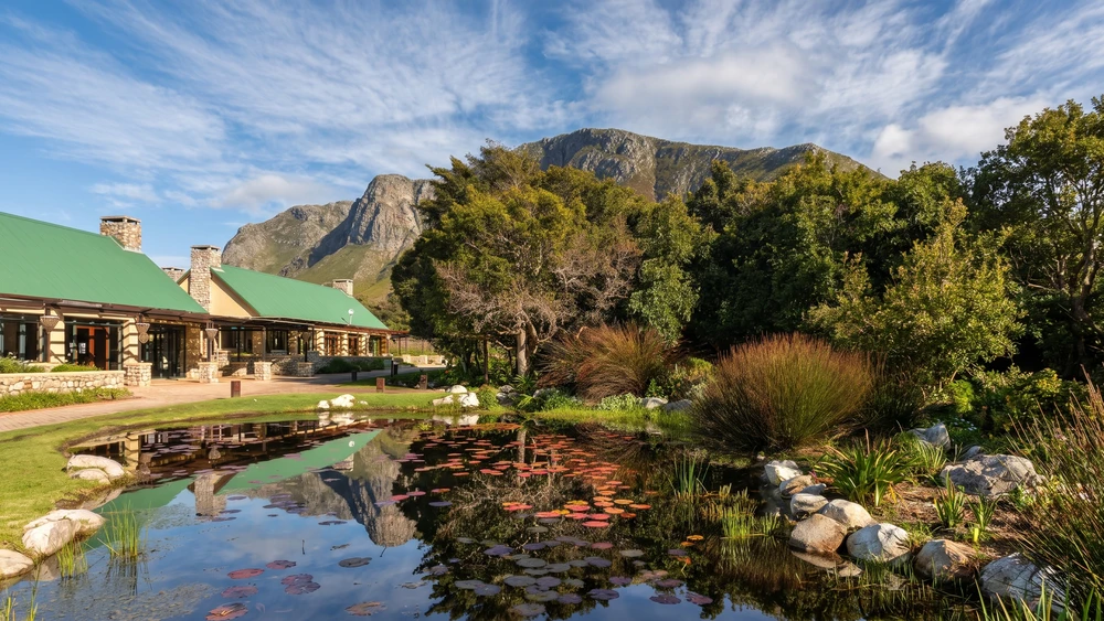 Harold Porter National Botanical Garden: Trails, Tickets & Waterfalls