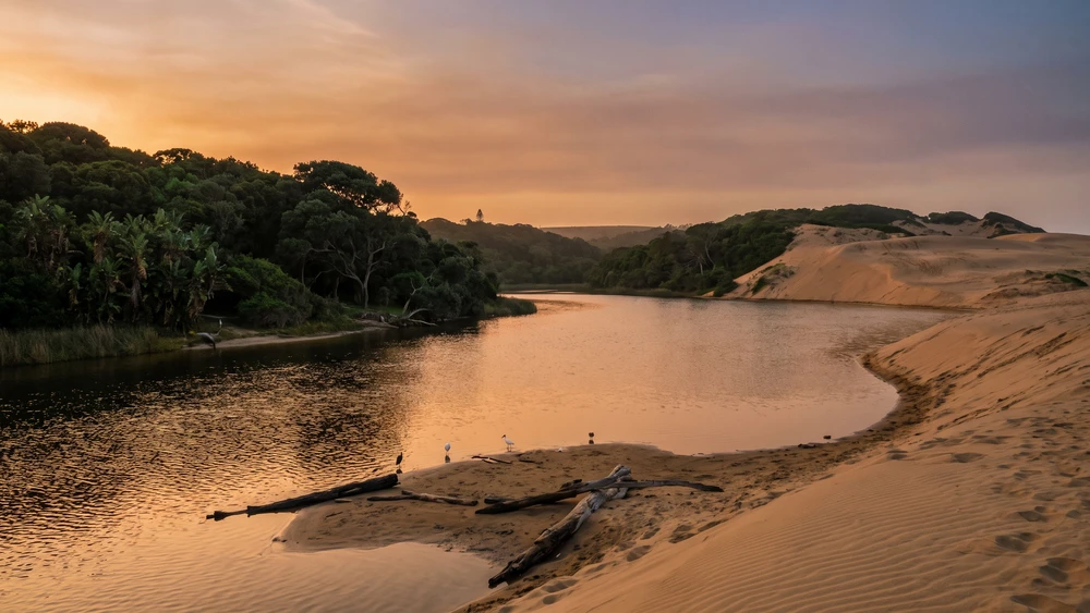 Calm lagoon at the Kasouga River estuary surrounded by coastal forest and sand dunes