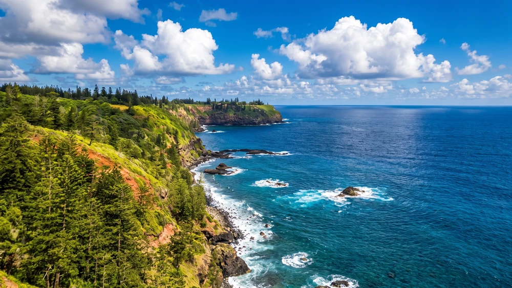 Rugged coastal cliffs and pine forest along the Bridle Track on Norfolk Island