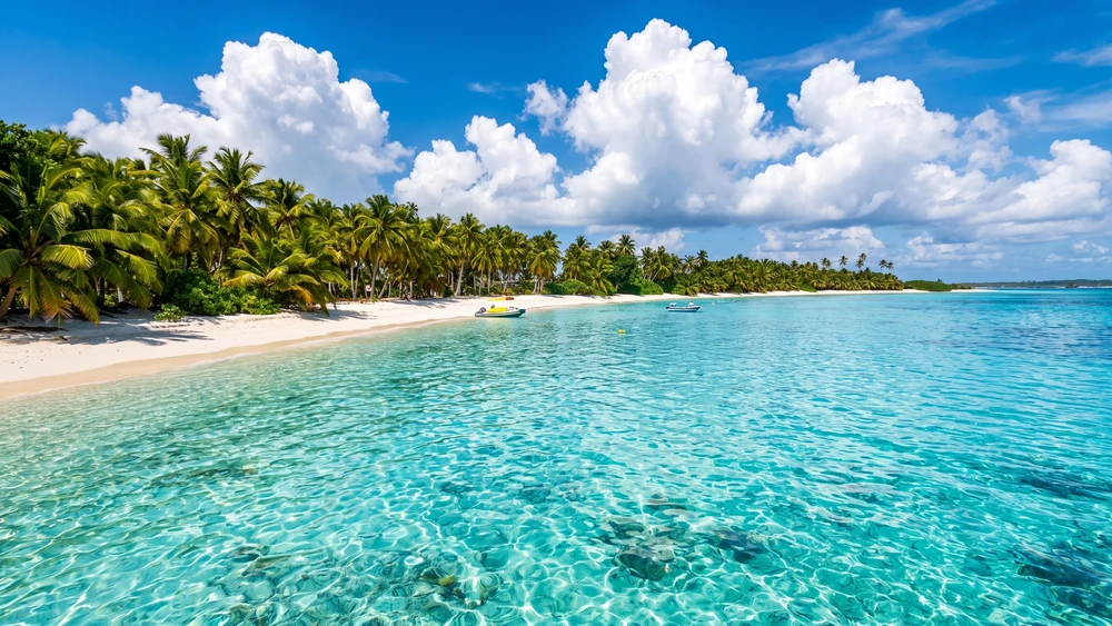 Turquoise lagoon and palm-lined beach at Pulu Keeling National Park